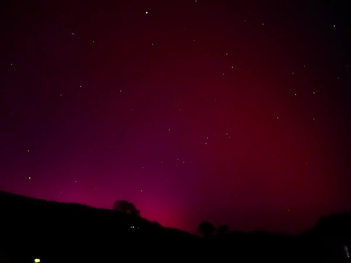 A tree on a hill, silhouetted in front of pink-through-red aurora in the night sky