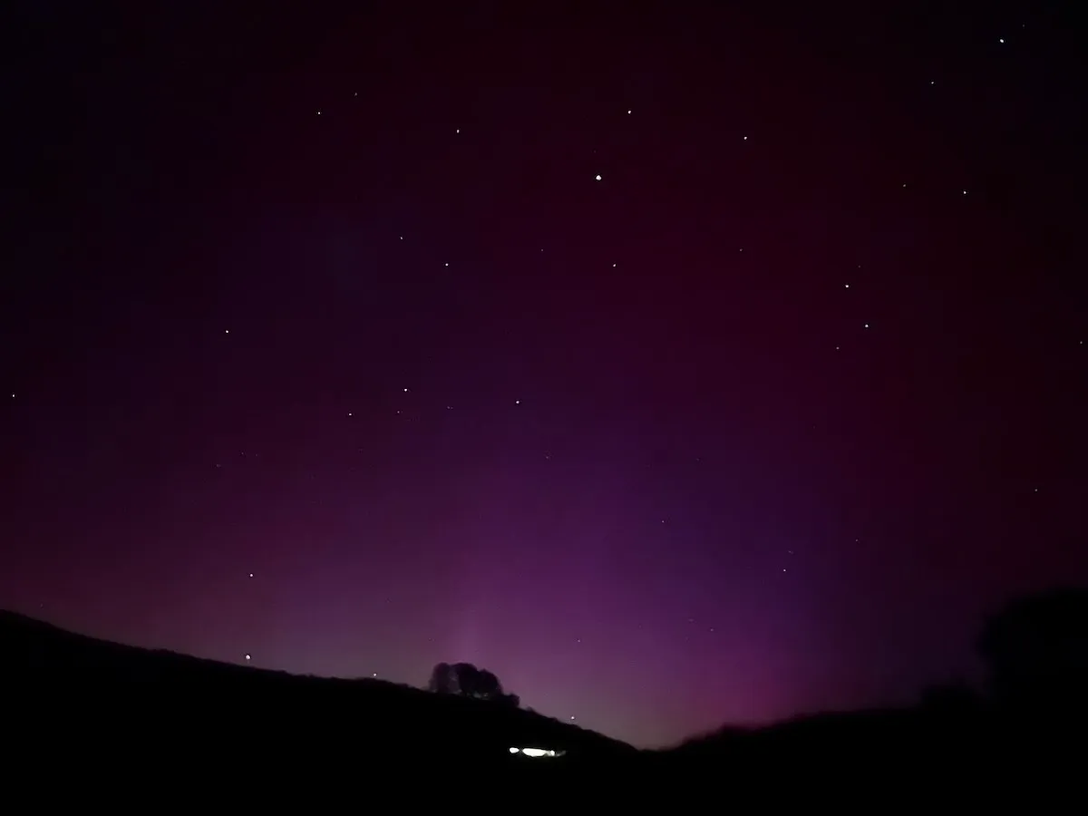 A tree on a hill, silhouetted in front of an aurora which is yellow green at the base but fades into a deep purple as it gets higher