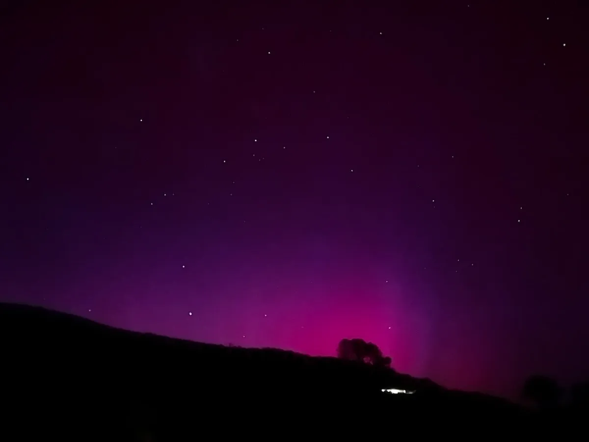 A tree on a hill, silhouetted in front of dramatic pink beams fading into a purple-tinted night sky