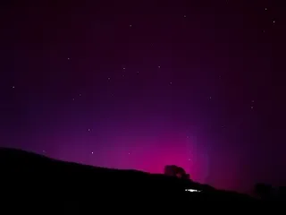 A tree on a hill, silhouetted in front of dramatic pink beams fading into a purple-tinted night sky